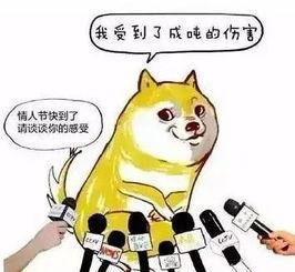 隐形式单身娱乐吃瓜酱,揭秘吃瓜酱背后的单身生活趣味  第3张